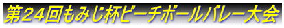 第２４回もみじ杯ビーチボールバレー大会